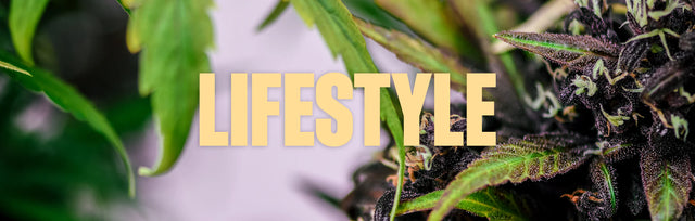 Lifestyle