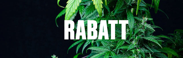 Rabatt