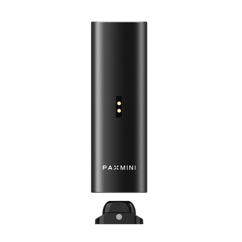 PAX mini 2