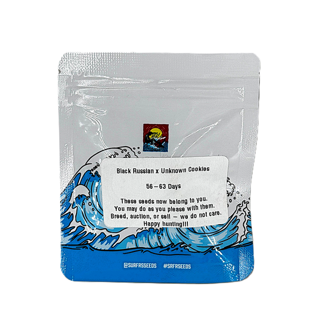 Surfr Seeds - Seeds