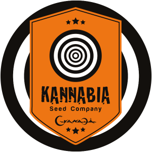 Kannabia CBD Seeds
